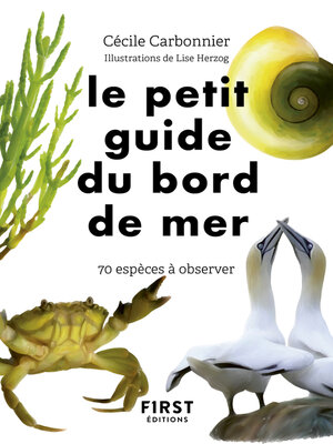 cover image of Petit Guide d'observation du bord de mer